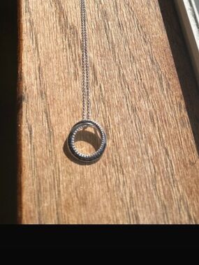 Classic Silver Rope-Edge Circle Pendant- Silver with natural blue diamonds